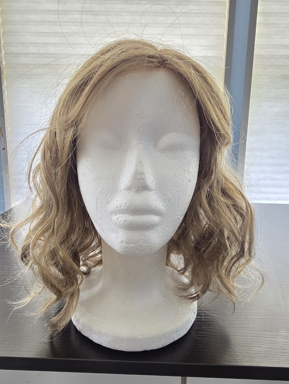 Envy Dakota Wig Mocha Frost Synthetic Lace Front Mono Top
